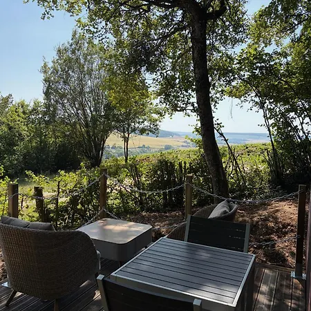 La De Gus - Tiny House Insolite Au Coeur Des Vignes De Champagne - Vue Panoramique - 1h30 De Paris *